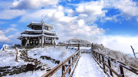 Paisaje nevado en el Parque Nacional Deogyusan, Corea del Sur