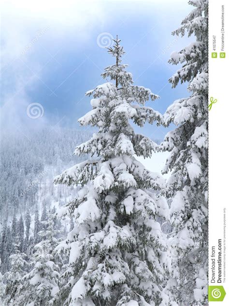 Paisaje Nevado En El Tiempo De La Navidad   árboles Con ...