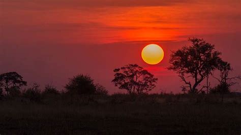 paisajes bonitos: Botsuana; río Okavango
