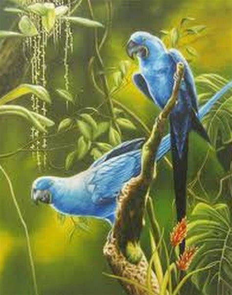 paisajes con aves pintura al oleo | pintura sudamericana ...