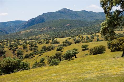Paisajes de España Castilla La Mancha/ Landscapes of Spain ...