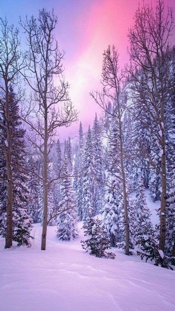 paisajes de invierno bonitos mundo | FONDOS | Pinterest ...
