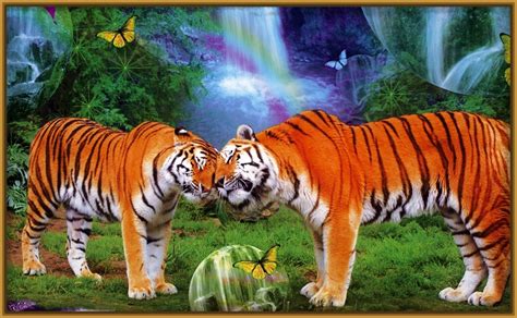 paisajes naturales con tigres Archivos | Imagenes de Tigres