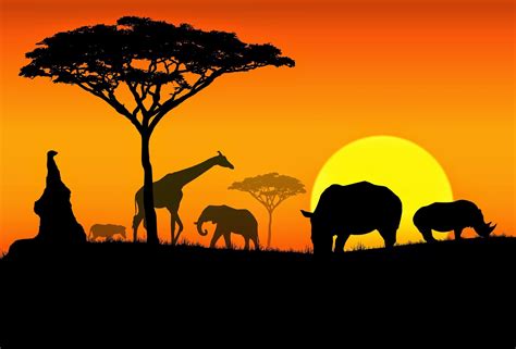 paisajes naturales del mundo: Paisajes de Africa
