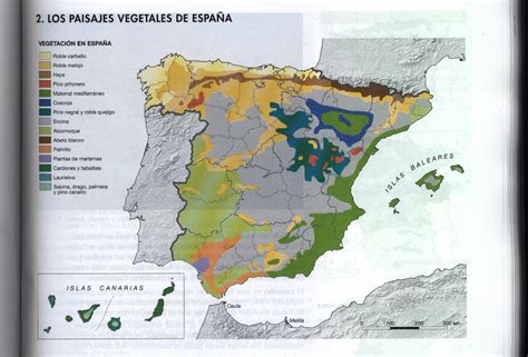 Paisajes vegetales de España | yoliloprofe