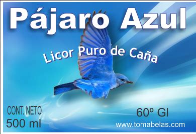 Pájaro Azul   Bolivar   Salinas de Guaranda y Turismo Rural