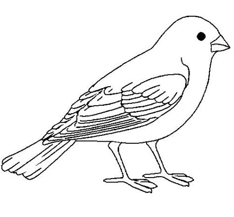 Pájaro canario   Dibujalia   Dibujos para colorear ...
