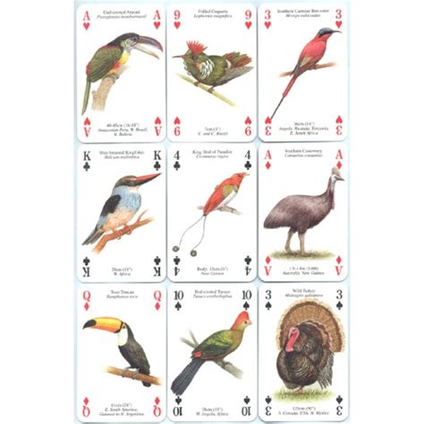 Pájaros Exóticos   Exotic Birds playing cards