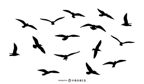 Pájaros volando silueta paquete   Descargar vector