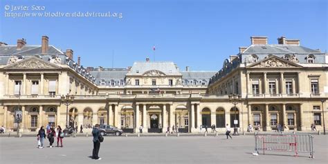 Palacio Real, Paris   50562   Biodiversidad Virtual ...