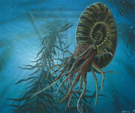 Paleo Art: Marine Life Collection by Todd S. Marshall, via ...