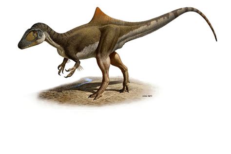 Paleontología Noticiosa: El gran  y jorobado  dinosaurio ...