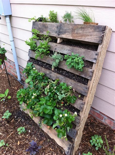 Pallet Gardening | innovativegardening