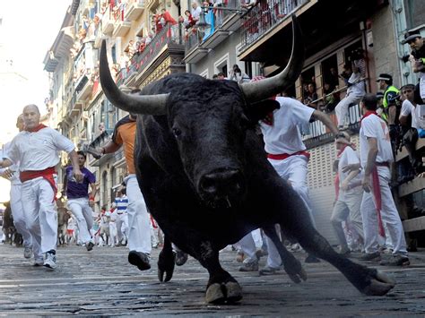 Pamplona bull run: How did the unique Spanish custom start ...
