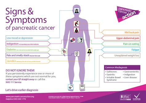 Pancreatic Cancer Symptoms   Signs & Symptoms of ...
