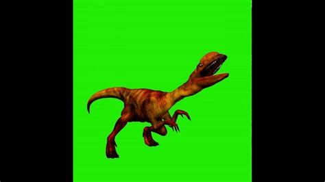 Pantalla verde   Dinosaurio agresivo   YouTube