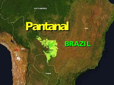 Pantanal Brasil