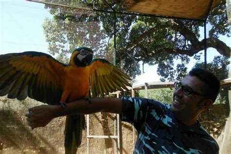 Papagayos preciosos: fotografía de Zoo Castellar ...