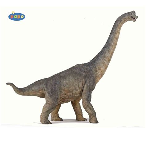 Papo Brachiosaurus Dinosaur Model