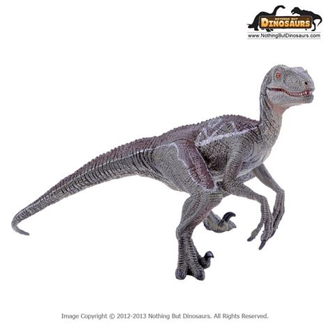 Papo Museum Quality Realistic Velociraptor Dinosaur Toy ...