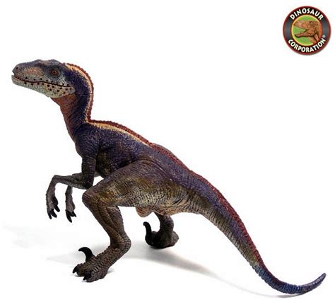 Papo Velociraptor Exclusive Color Model Dinosaur Toy ...