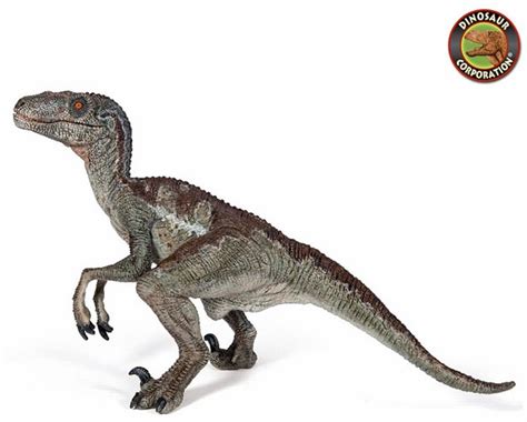 Papo Velociraptor Model Dinosaur Toy Figure | Dinosaur ...