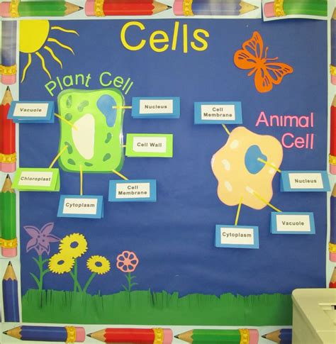 Para aprender en natural science la célula, se puede ...