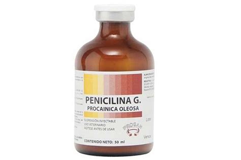 Para Qué Sirve la Penicilina?   Propiedades, usos ...