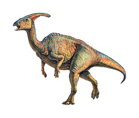 Parasaurolophus Dinosaur by Joe Tucciarone
