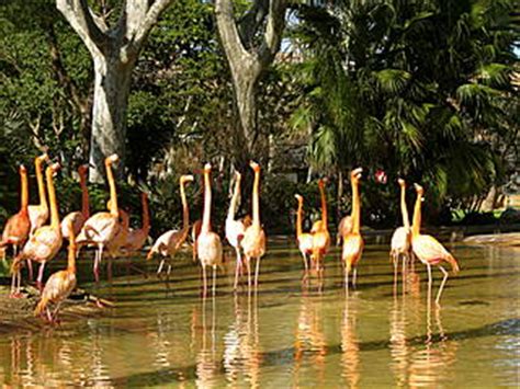 Parc Zoològic de Barcelona   Zoo at Barcelona