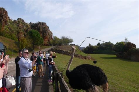 Parque de la Naturaleza de Cabárceno, Cabárceno Cantabria