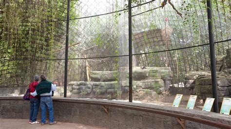 Parque Zoologico de Chapultepec Pictures: View Photos ...