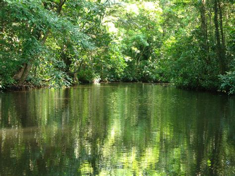 Parques nacionales de Costa Rica | Vacaciones en America