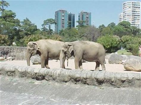 Parques Zoológicos Distrito Federal