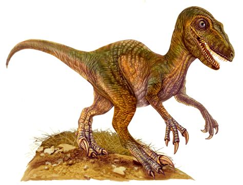 Parte 2 Misterio del Dragon Dinosaurio Babilonico   Taringa!