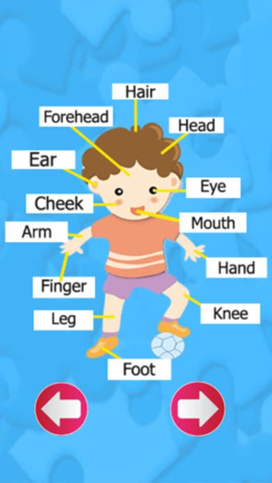 Partes del cuerpo humano: Aprender sonido vocabulario ...