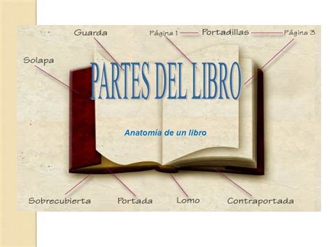 PARTES DEL LIBRO Anatomía de un libro.   ppt video online ...