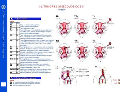 Patologia B  2013: Patologias del ovario