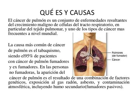 patologia pulmonar