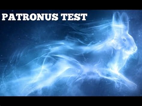 Patronus Test And My Results | What I Learned From Harry ...