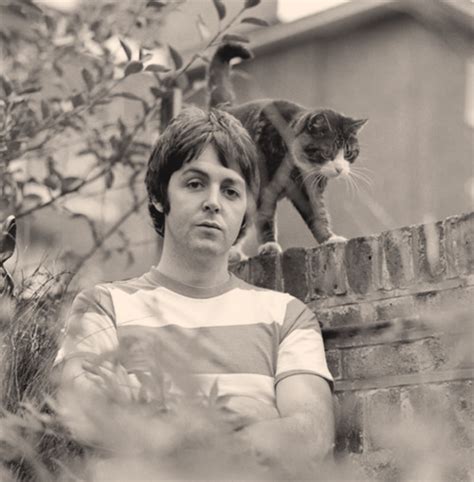 paulmccartney.com :: View topic   ***LINDA McCARTNEY ...