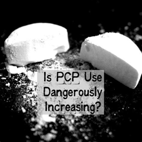 Pcp Drug Side Effects | www.pixshark.com   Images ...