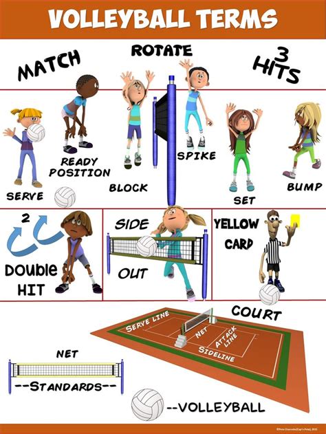 PE Poster: Volleyball Terms | Volleyball, Volleyball terms ...