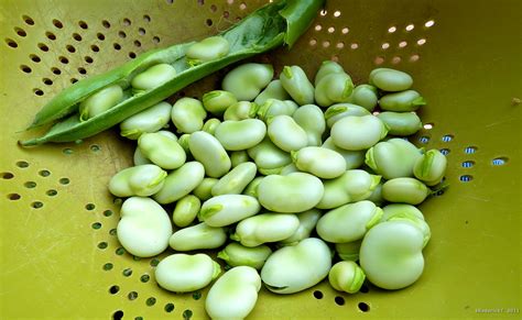 Peas and Runner Beans | Blog.Gardora.net