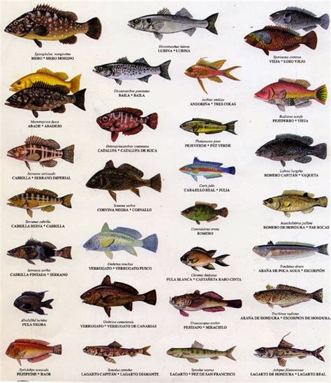 Peces Crustaceos y moluscos: 2014