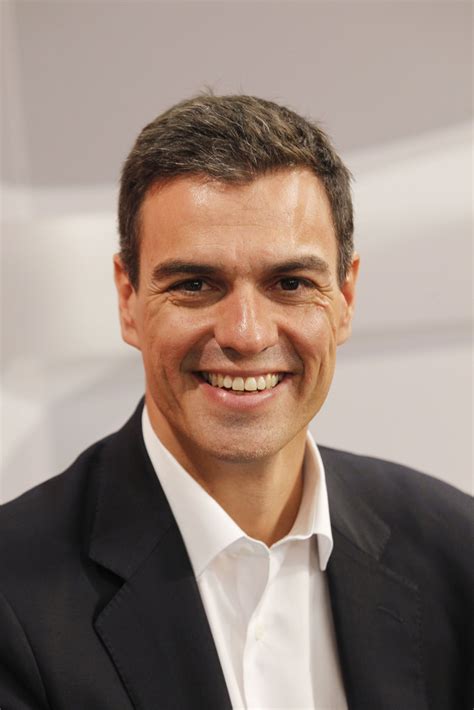 Pedro Sánchez Pérez Castejón, Secretario General | PSOE ...