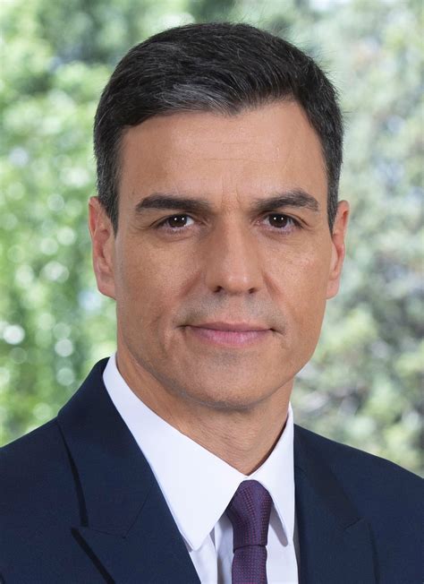 Pedro Sánchez  politician    Wikipedia