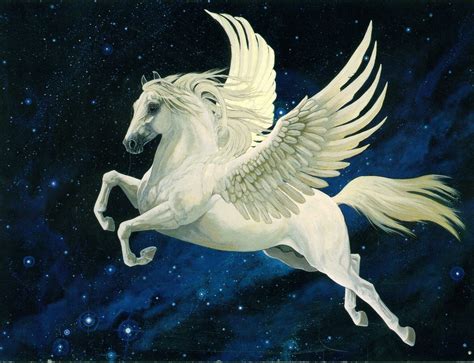 Pegasus images Pegasus HD wallpaper and background photos ...