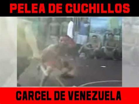 Pelea de cuchilos en carcel Venezolana   YouTube