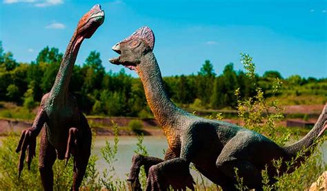 Peleas de dinosaurios: cómo fueron?